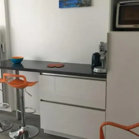 Lumineux Avec Balcon, Parking Et Animaux Acceptés - Fr-1-494-66