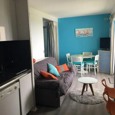 Lumineux Avec Balcon, Parking Et Animaux Acceptés - Fr-1-494-66